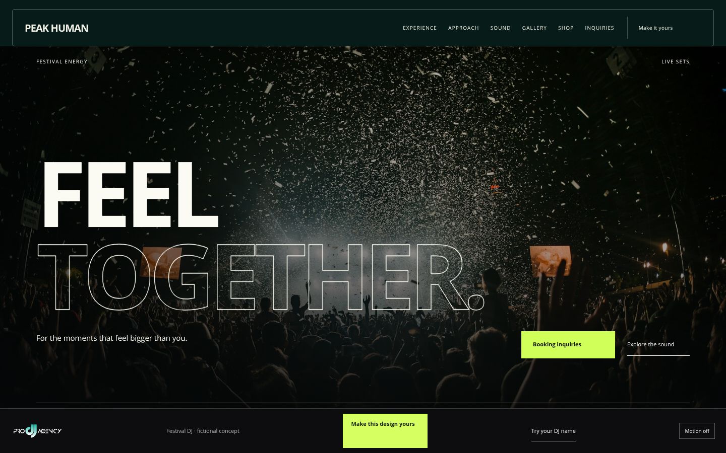 Festival DJ - actual rendered website preview