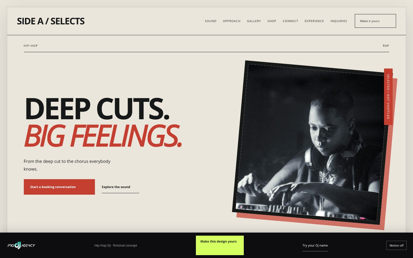 Hip-Hop DJ - actual rendered website preview